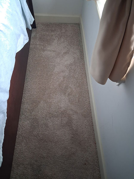 After carpet cleaning