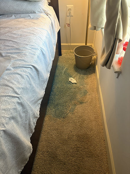 Before carpet cleaning